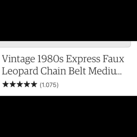 Vintage Express Gold and Brown Leopard Belt main image 5